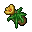 honey flower