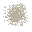 fungus powder