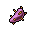 prickly pear