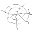 spider silk