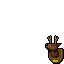 deer trophy